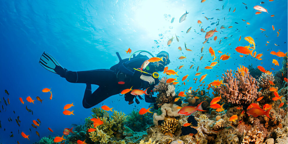 scuba diving in dubai